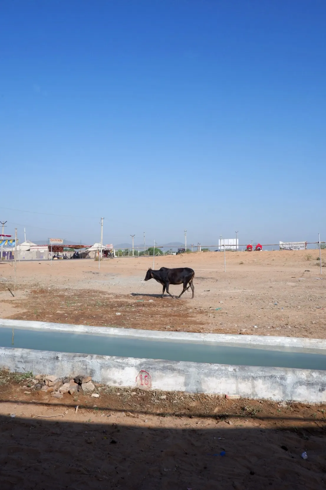 Life in Pushkar photograph 13
